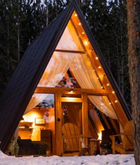 Forest House A Frame